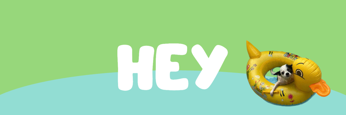 a green and blue banner "hey" with a chihuahua riding on a duck floatie