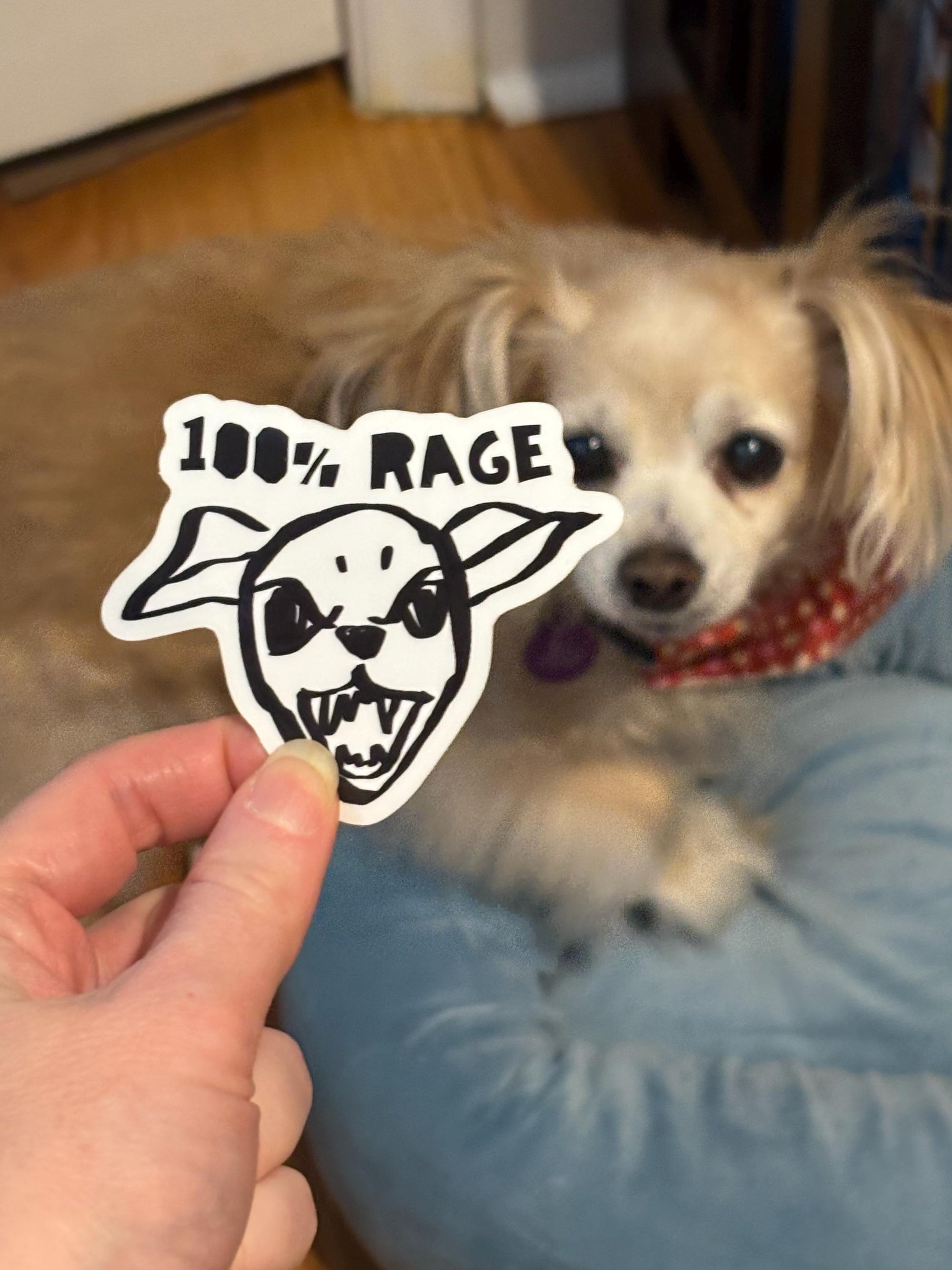 100% Rage Chihuahua Sticker | Angry Dog Sticker, Punk Waterbottle or Laptop Decal