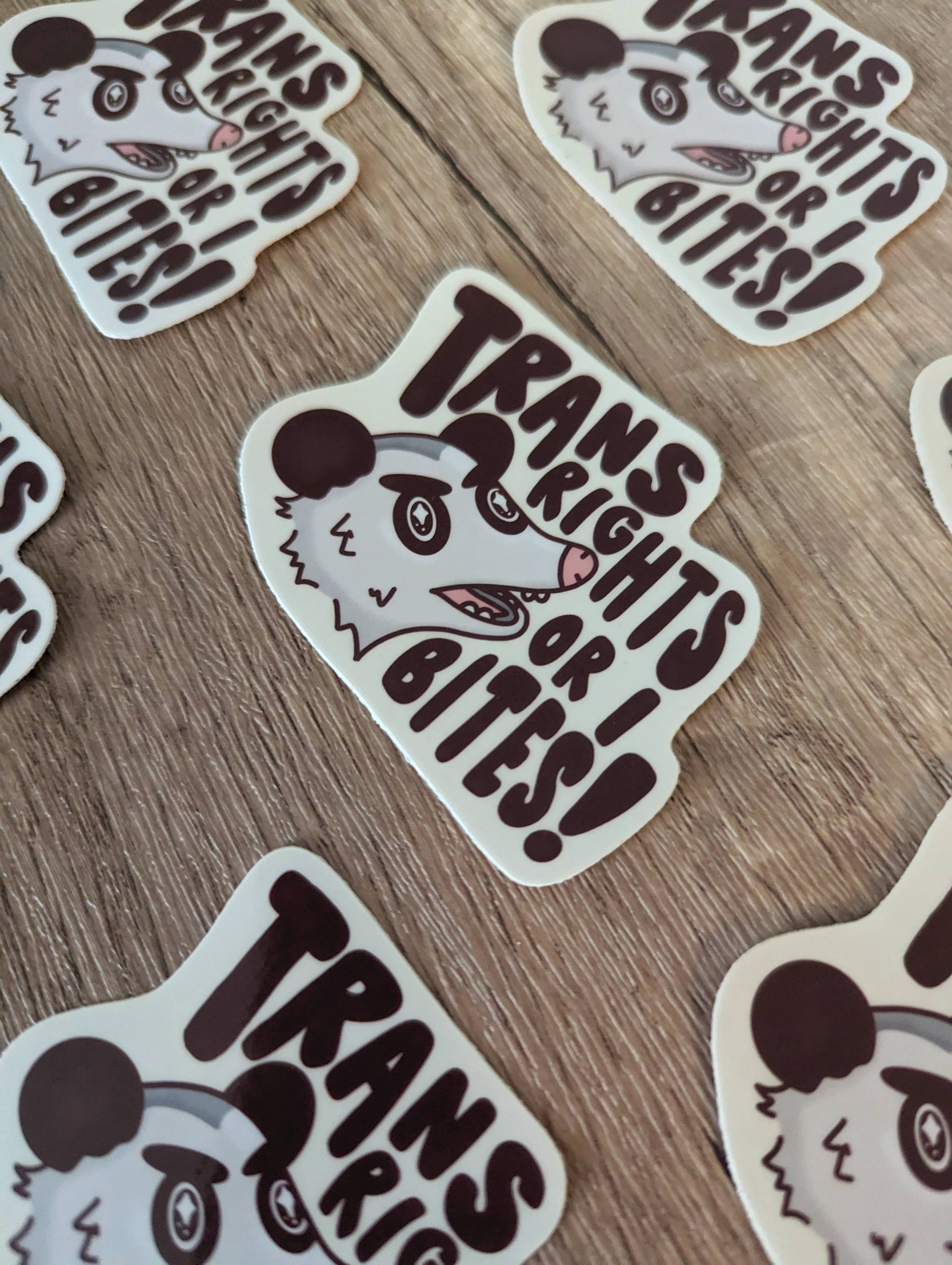 Trans Rights or I Bites - Cute Possum Vinyl Sticker LGBTQIA+