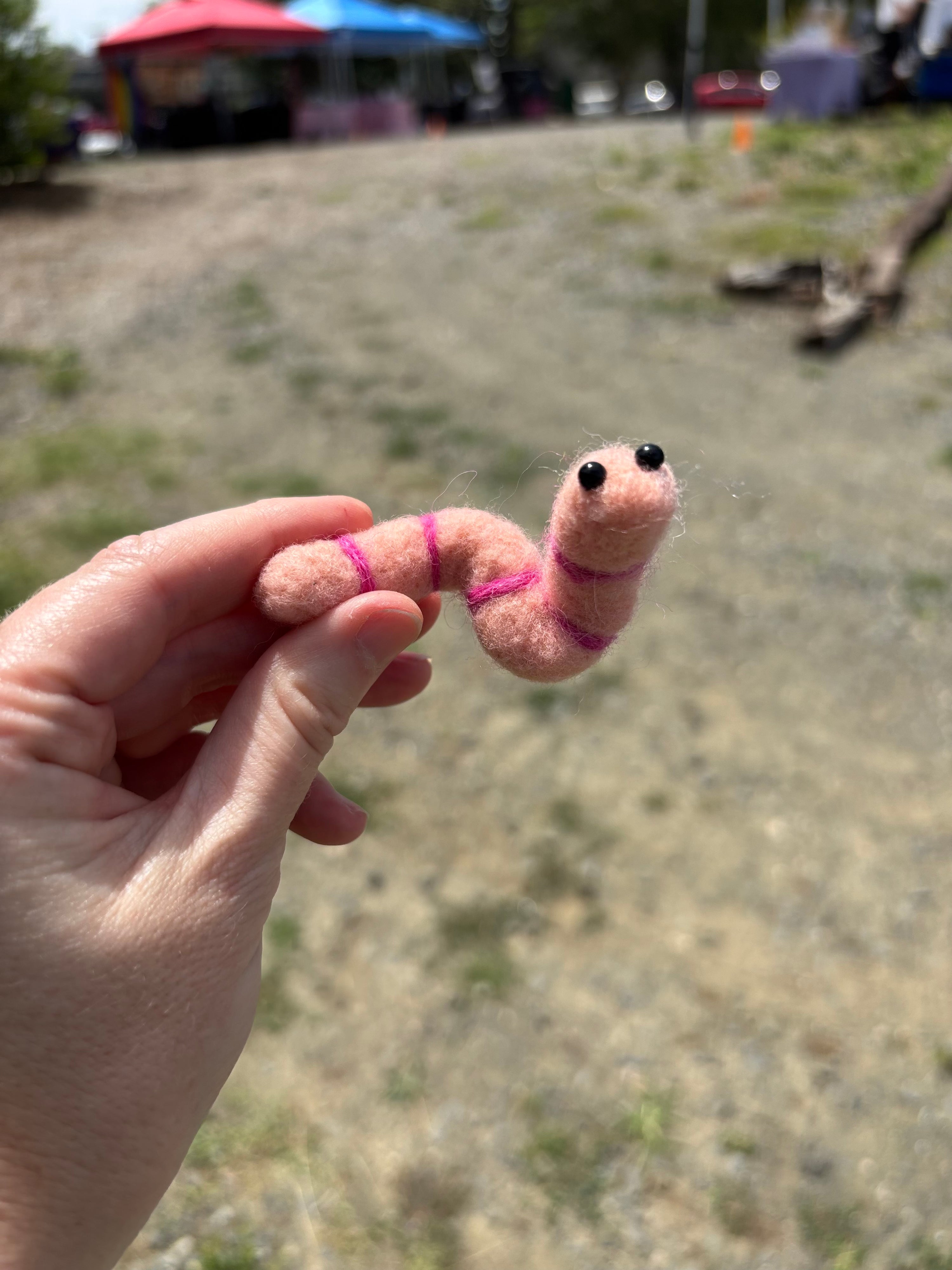 Felted Wiggly Worm