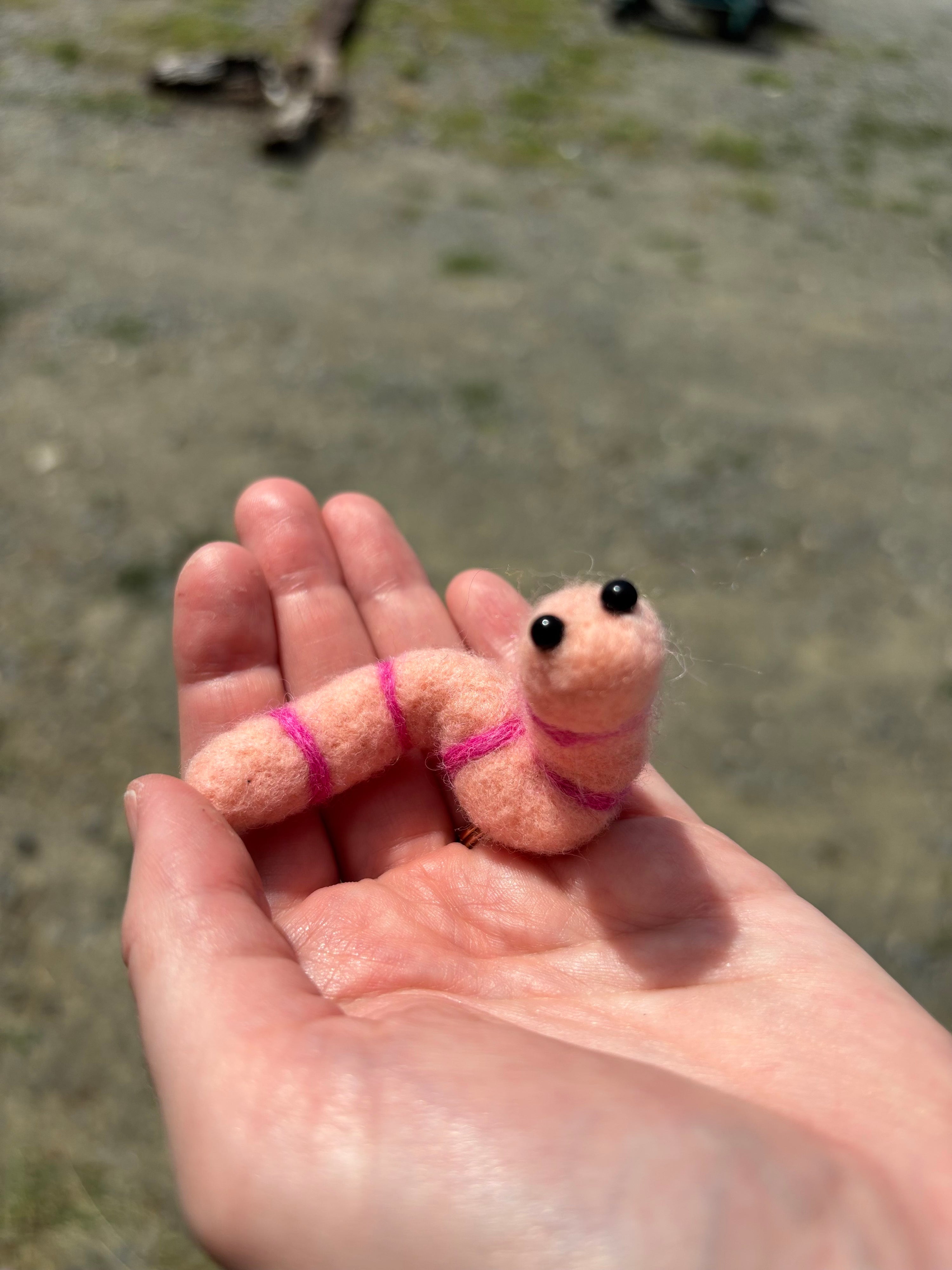 Felted Wiggly Worm