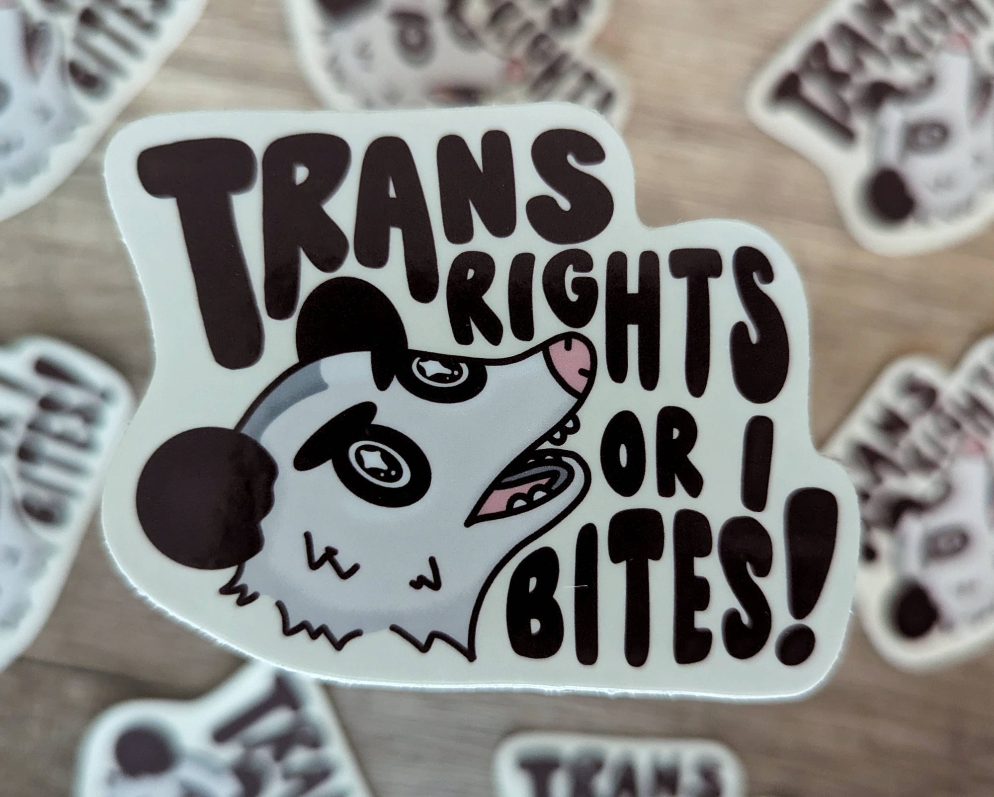 Trans Rights or I Bites - Cute Possum Vinyl Sticker LGBTQIA+