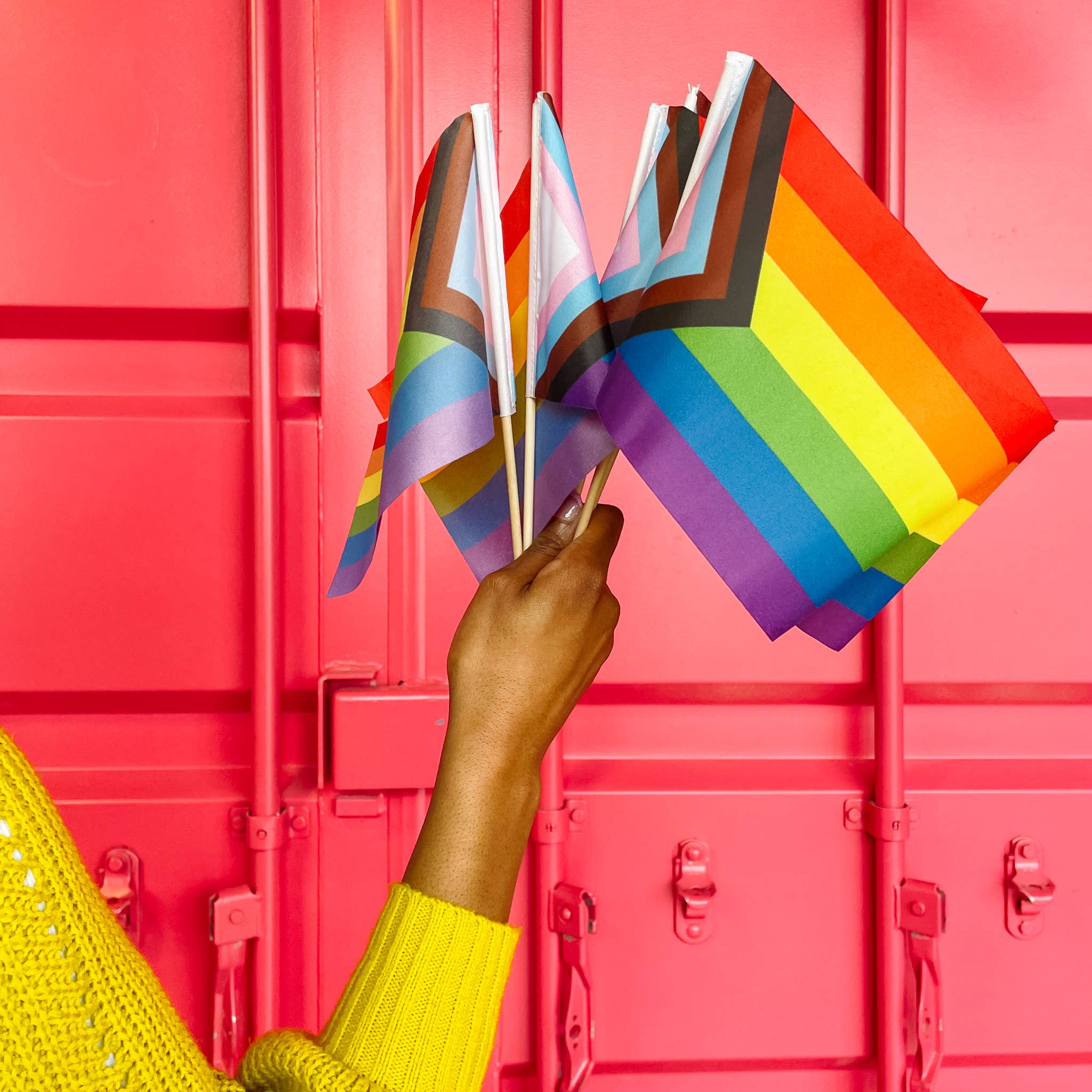 Pride Progress Stick Flags