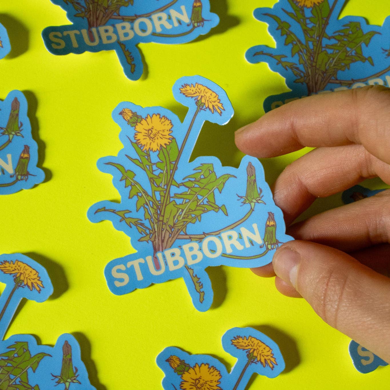 Hand holding a 'Stubborn' sticker with dandelion design on a yellow background