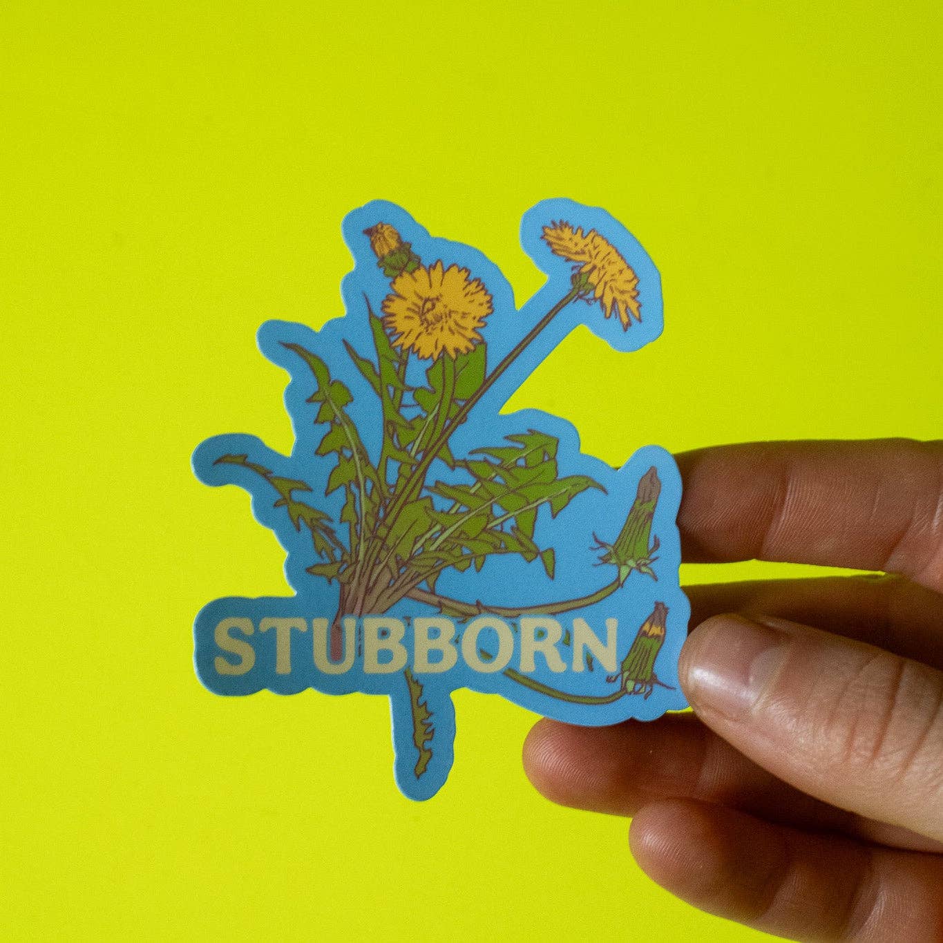 Hand holding a sticker with dandelions and the word 'STUBBORN' against a bright yellow background