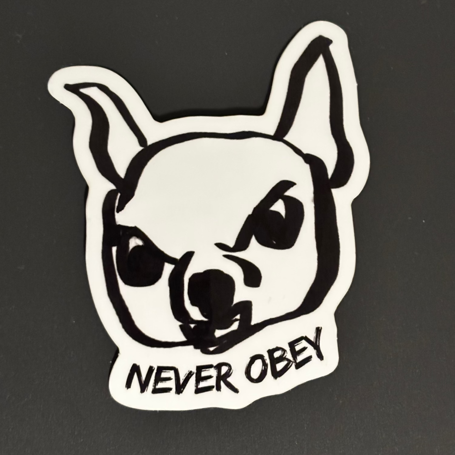 A close up of the Never Obey sticker (an original baconastro / sleepy chi sticker of an angry growling chihuahua) on a black/gray background