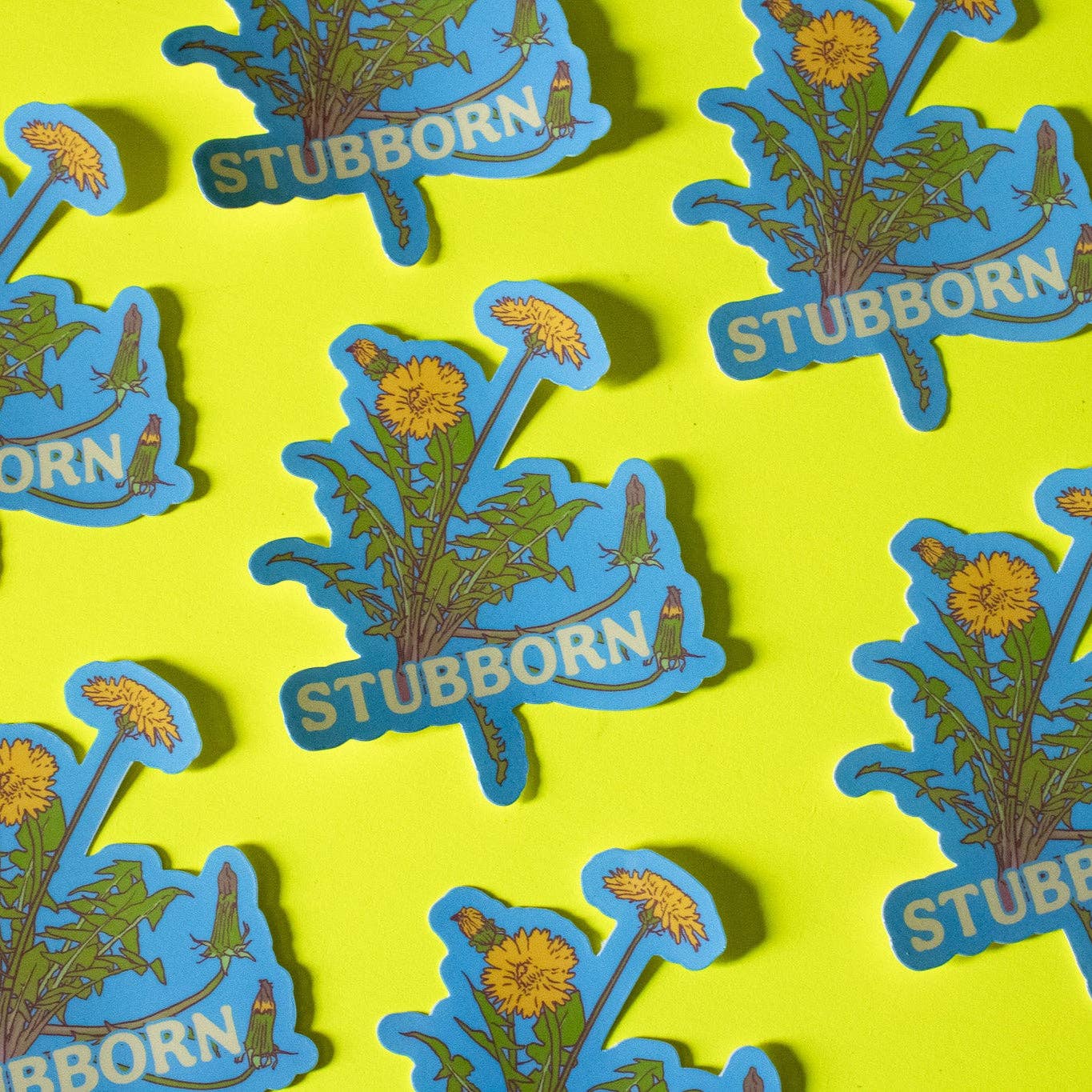 Pattern of 'Stubborn' stickers with dandelion graphics on a yellow background