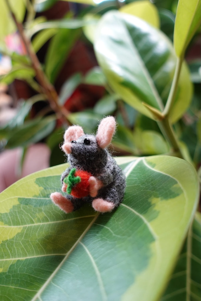 Tomato Rat