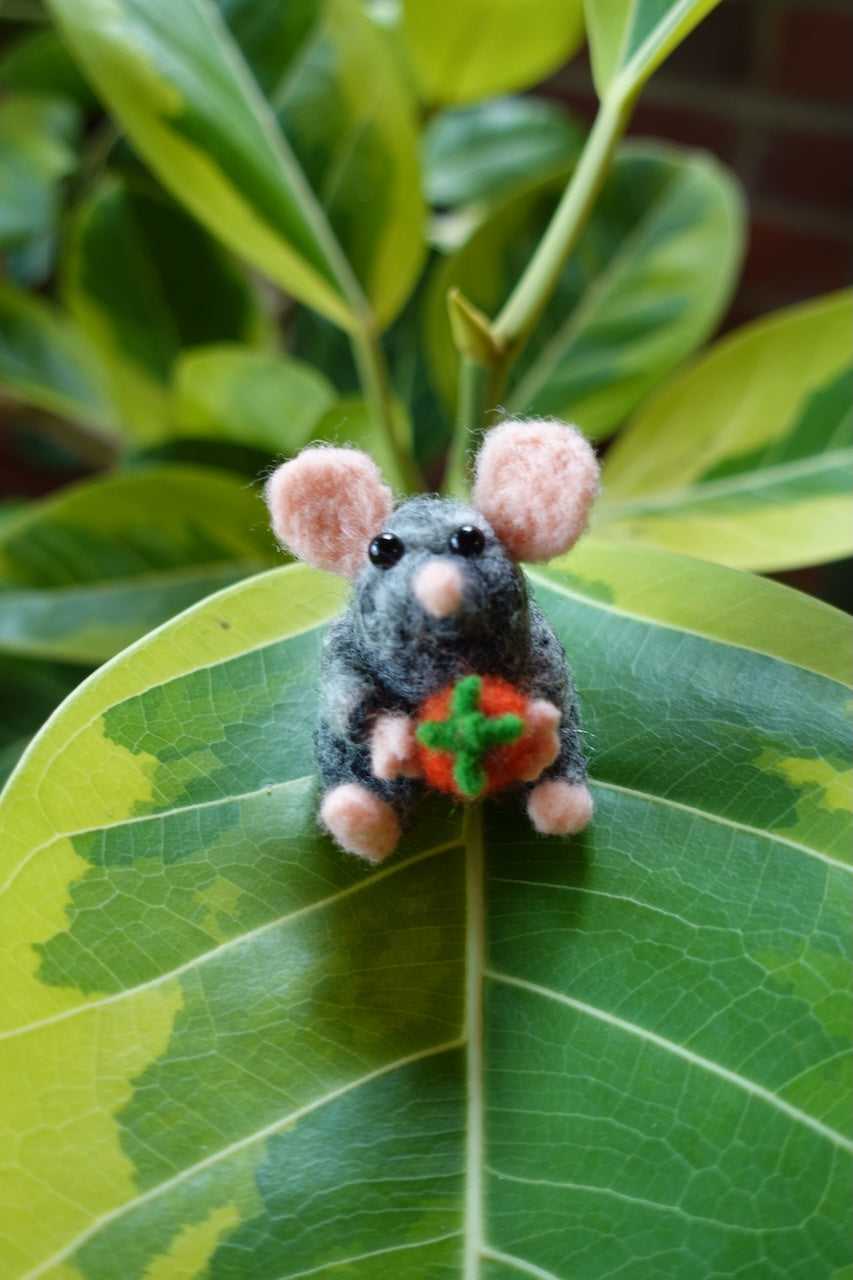 Tomato Rat